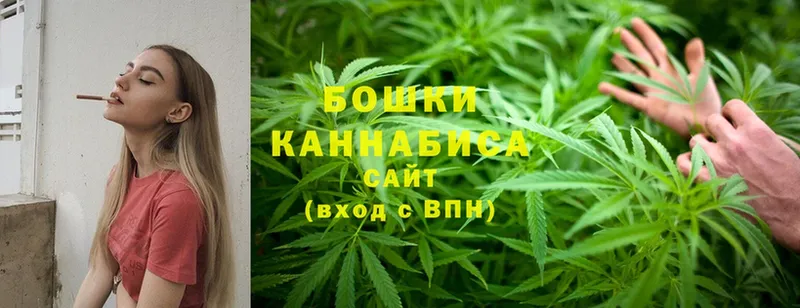 Каннабис OG Kush  Харовск 